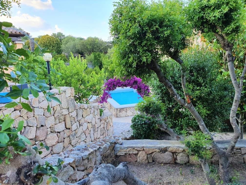 Villa Saba Ольбия Экстерьер фото