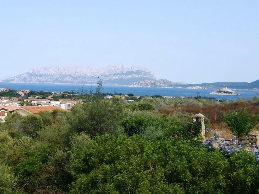 Villa Saba Ольбия Экстерьер фото